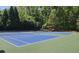 Vibrant community pickleball courts surrounded by lush greenery, great for active recreation and sports at 3811 Holliwell Pass, Cumming, GA 30040