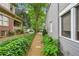 Landscaped walkway leading to the home at 25 Standish Nw Ave, Atlanta, GA 30309