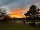 A view of the backyard at sunset, showcasing the community and a wooden fence at 5375 Glenhaven Dr, Cumming, GA 30041