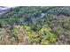 Aerial view of a property surrounded by lush trees, highlighting a pond and nearby homes in a leafy setting at 443 Lakeshore Dr, Berkeley Lake, GA 30096