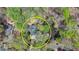 Aerial view showing a home nestled among trees and a nearby pond, surrounded by vibrant foliage at 443 Lakeshore Dr, Berkeley Lake, GA 30096