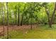 Lush backyard with green moss, trees, and natural foliage at 295 Glen Lake Dr, Atlanta, GA 30327