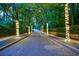 Elegant driveway lined with trees adorned with string lights, creating a welcoming ambiance at 510 Belada Blvd, Atlanta, GA 30342