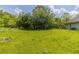 An expansive yard with lush greenery, offering a serene and private outdoor space at 67 Jennifer Ln, Rydal, GA 30171