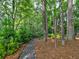 Serene backyard garden with a gravel path, lush greenery and mature trees creating a tranquil setting at 1257 Independence Way, Marietta, GA 30062