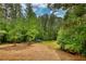 Backyard surrounded by woods with cut lawn area with small structure on the edge at 547 Ellington Rd, Oxford, GA 30054