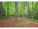 Large private backyard surrounded by mature trees at 1965 Stilesboro Nw Dr, Kennesaw, GA 30152