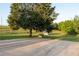 Long concrete driveway leading to a spacious property with mature trees and a lush green field at 4076 Airline, Mcdonough, GA 30252