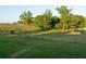 Spacious pasture, ideal for equestrian activities or livestock grazing, with mature trees adding beauty at 4076 Airline, Mcdonough, GA 30252