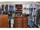 Spacious walk-in closet featuring shelving and hanging storage with wooden drawers at 2849 Beddington Way, Suwanee, GA 30024