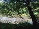 Scenic river view framed by lush trees and foliage, creating a sense of nature and tranquility at 3265 Bentwood Close, Cumming, GA 30041