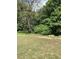 A view of an expansive backyard featuring a grass lawn and mature trees at 6074 Locklear Way, Douglasville, GA 30134