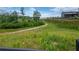 Community walking trail surrounded by wildflowers and lush greenery, ideal for nature enthusiasts at 4605 Heathcliff Way, Cumming, GA 30041