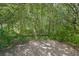 Beautiful backyard surrounded by lush trees, perfect for relaxation at 1528 Rogers Crossing Dr, Lithonia, GA 30058