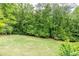 Expansive backyard featuring lush green grass, surrounded by mature trees offering privacy and a serene setting at 1575 Spalding Dr, Sandy Springs, GA 30350