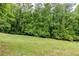 Beautifully landscaped backyard with a gentle slope, showcasing mature trees and a well-maintained lawn at 1575 Spalding Dr, Sandy Springs, GA 30350