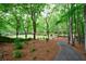Lush backyard featuring tall trees, mulch ground covering, and a winding sidewalk at 4500 Candacraig, Alpharetta, GA 30022