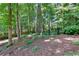 A lush backyard with mature trees, greenery, and peaceful, natural surroundings at 1508 Walker Ridge Sw Dr, Marietta, GA 30064