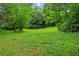 Large, grassy backyard with a gentle slope, mature trees, and a couple of chairs in the distance at 185 Elizabeth St, Atlanta, GA 30307