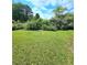 Lush backyard with green grass and mature bushes with a bird bath in the middle at 589 Catrina Ct, Stone Mountain, GA 30087