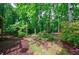 Serene backyard with a variety of trees, shrubs, and ground cover creating a peaceful oasis at 745 Devon Hill Ct, Roswell, GA 30075