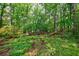 Lush backyard with natural foliage, mature trees, and peaceful surroundings for nature lovers to enjoy at 745 Devon Hill Ct, Roswell, GA 30075