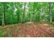 Spacious wooded lot with mature trees and natural foliage, offering privacy and a serene natural setting at 745 Devon Hill Ct, Roswell, GA 30075