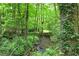 Wooded lot with creek, lush ferns and mature trees at 3880 Northpoint Dr, Marietta, GA 30062