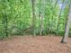 Wooded backyard with green foliage and leaves covering the ground at 1455 Lockridge Dr, Cumming, GA 30041