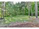 Lush backyard with mature trees offering ample privacy at 2211 Rocky Mill Dr, Lawrenceville, GA 30044