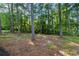 Heavily wooded land ready to be cleared and built on at 1129 Pinehurst Rd, Grayson, GA 30017