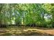 Expansive backyard with mature trees providing shade and privacy, partially obscured by trees at 3294 Mcclure Bridge Rd, Duluth, GA 30096