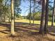 Scenic backyard featuring mature trees and a view of the green lawn, bordering a wooded area, offering natural beauty at 1874 Mcgarity Rd, Mcdonough, GA 30252