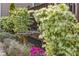 Lush landscaping featuring blooming bushes and a decorative birdbath, enhancing the garden's serene atmosphere at 10090 Feather Sound Ct, Alpharetta, GA 30022