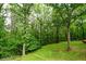 Lush green backyard with mature trees and a glimpse of a wooden structure, highlighting the property's natural beauty at 110 Sandy Ridge Trl, Fayetteville, GA 30214