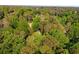 Aerial view of a secluded home nestled among a dense forest at 1585 San Gabriel Ave, Decatur, GA 30032