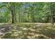 Expansive backyard with mature trees providing shade and privacy surrounding the property at 250 Huntcliff Ct, Fayetteville, GA 30214