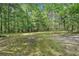 Large backyard featuring natural surroundings and mature trees surrounding the property at 250 Huntcliff Ct, Fayetteville, GA 30214