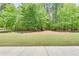 Large, green grassy yard perfect for Gathering fun and outdoor activities at 2417 Saint Feagin Pl, Powder Springs, GA 30127