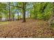 Spacious backyard surrounded by lush trees and greenery creating a private outdoor space at 4781 Lincoln Ne Dr, Kennesaw, GA 30144