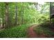 Backyard trail lined with leafy ground cover and birdhouse at 4314 Woodhaven Se Way, Smyrna, GA 30082