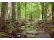 Scenic stream surrounded by lush greenery and mature trees at 4314 Woodhaven Se Way, Smyrna, GA 30082