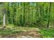 Backyard view of lush, mature trees and greenery offers a secluded and private atmosphere for relaxation and outdoor activities at 3957 Woodland Cir, Conyers, GA 30013