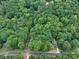 Aerial view showcasing home enveloped by lush, mature trees in a tranquil neighborhood setting with cul-de-sac at 1310 Ridgeview Rd, Auburn, GA 30011