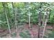 View of the backyard at 1310 Ridgeview Rd, Auburn, GA 30011
