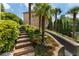 Professionally landscaped backyard with stone steps, lush greenery, and mature palm trees at 1145 Lake Shore Overlook, Alpharetta, GA 30005