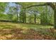Spacious backyard featuring mature trees and natural landscaping at 218 Deerwood Se Ct, Smyrna, GA 30082