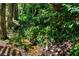 Backyard stream offering beautiful nature views and a tranquil setting at 4569 Fountain Ne Dr, Marietta, GA 30067