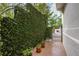 Outdoor walkway lined with ivy, leading to a gated entrance and showcasing meticulous landscaping at 1100 Parker Ne Pl, Atlanta, GA 30324