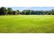Expansive green open field, perfect for picnics, sports, and outdoor activities, creating a vibrant community space at 679 Gold Valley Pass, Canton, GA 30114